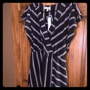 NWT Flatter Vneck Stripped dress